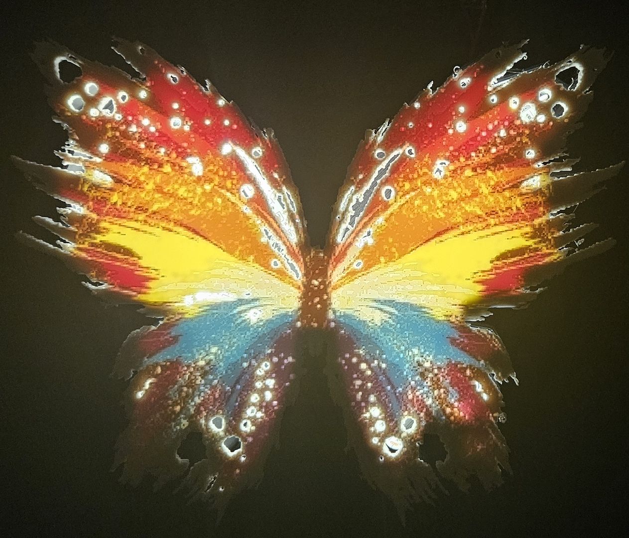 Schmetterling